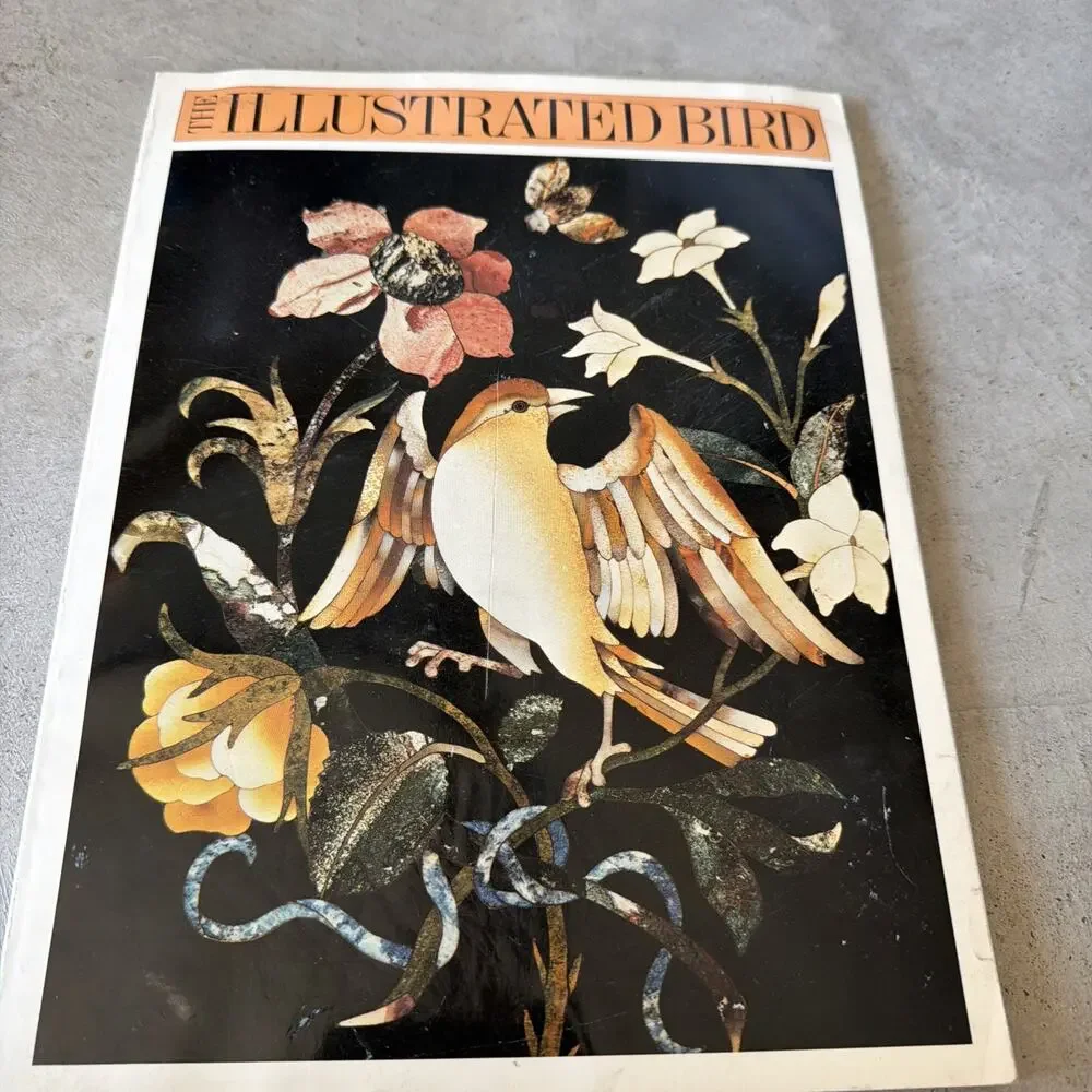 The‎ Illustrated Bird Paperback Maggie Oster
